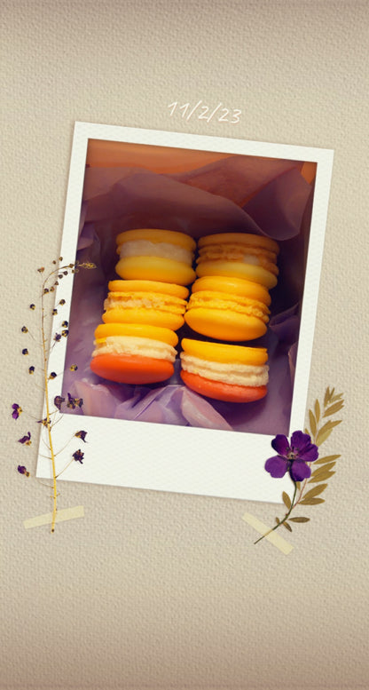 Macarons Sweetly Scented